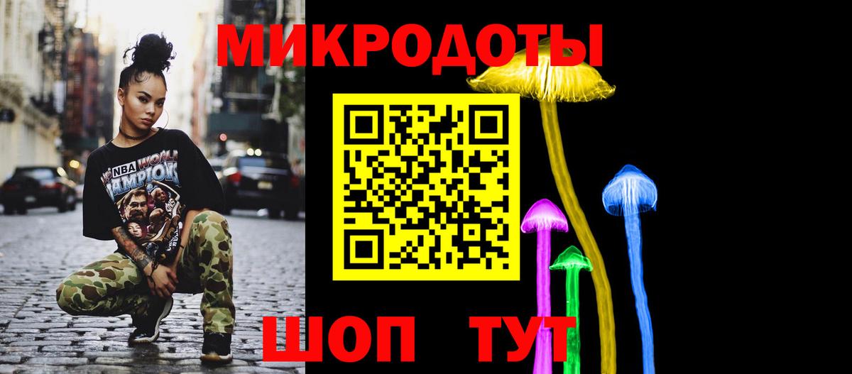Галлюциногенные грибы Psilocybine cubensis Саянск