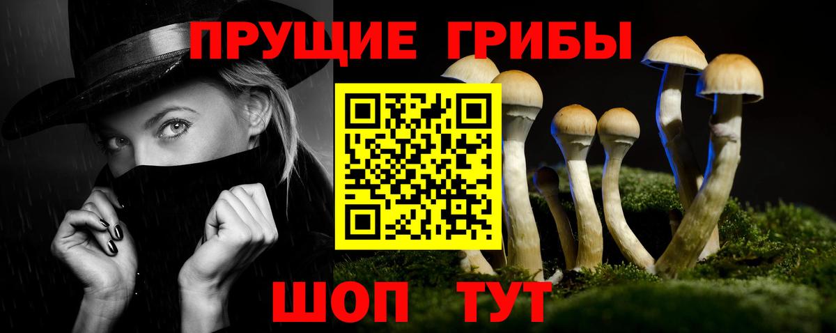 Саянск  Галлюциногенные грибы Psilocybe  Вход с VPN 